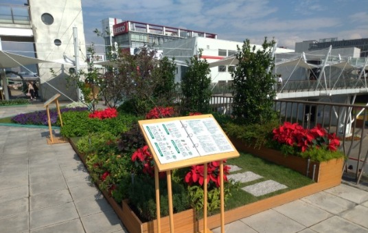 內湖花市庭園式綠屋頂